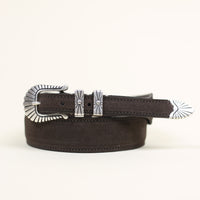 Western Minnesota belt