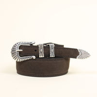 Western Minnesota belt