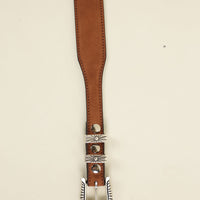 Western Minnesota belt