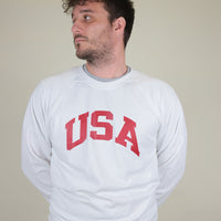 USA raglan sweatshirt
