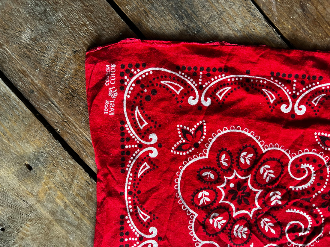 Bandana in cotone Fast color