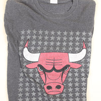 T-shirt  CHICAGO BULLS   - L -