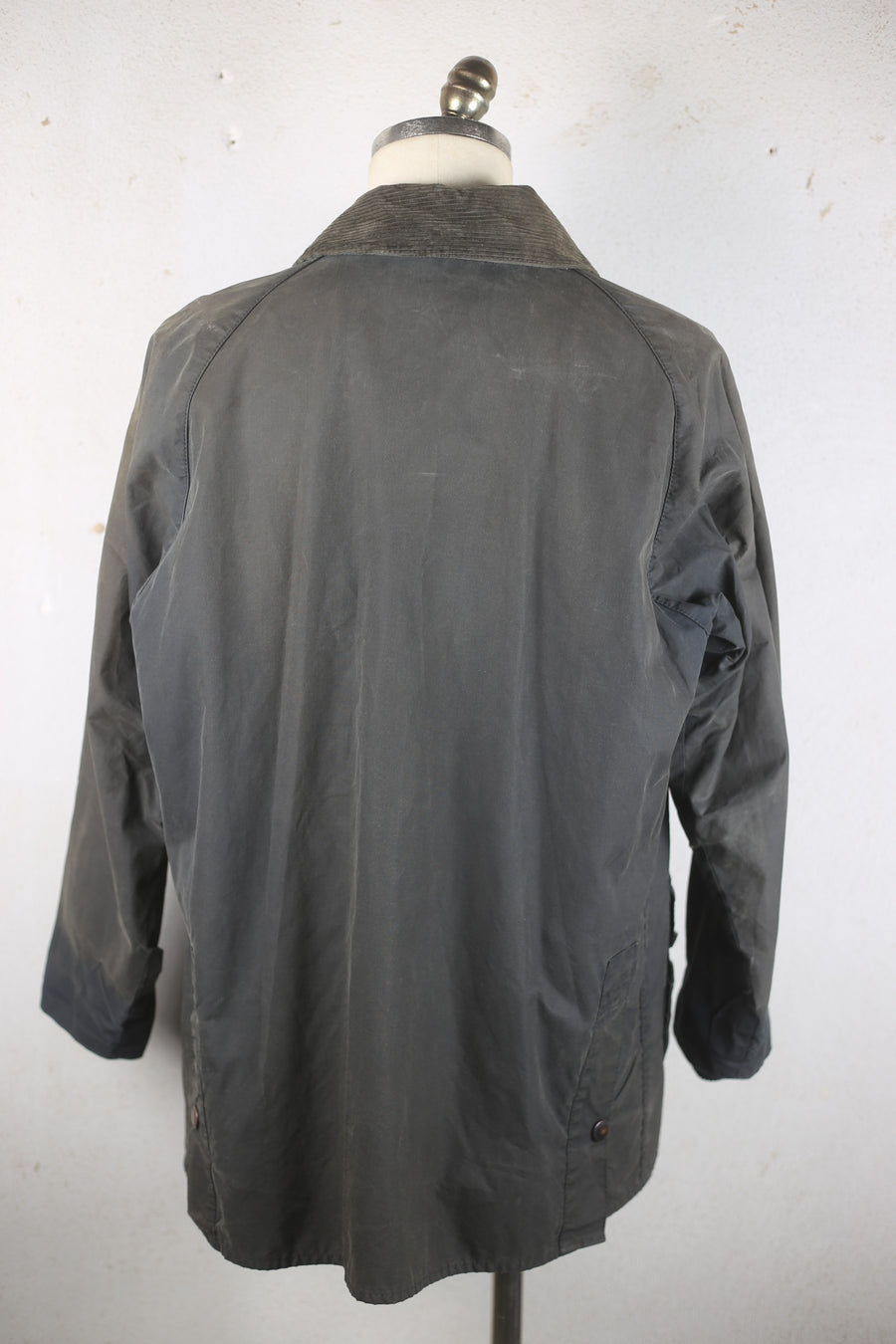 Barbour BEDALE   -C40 L-