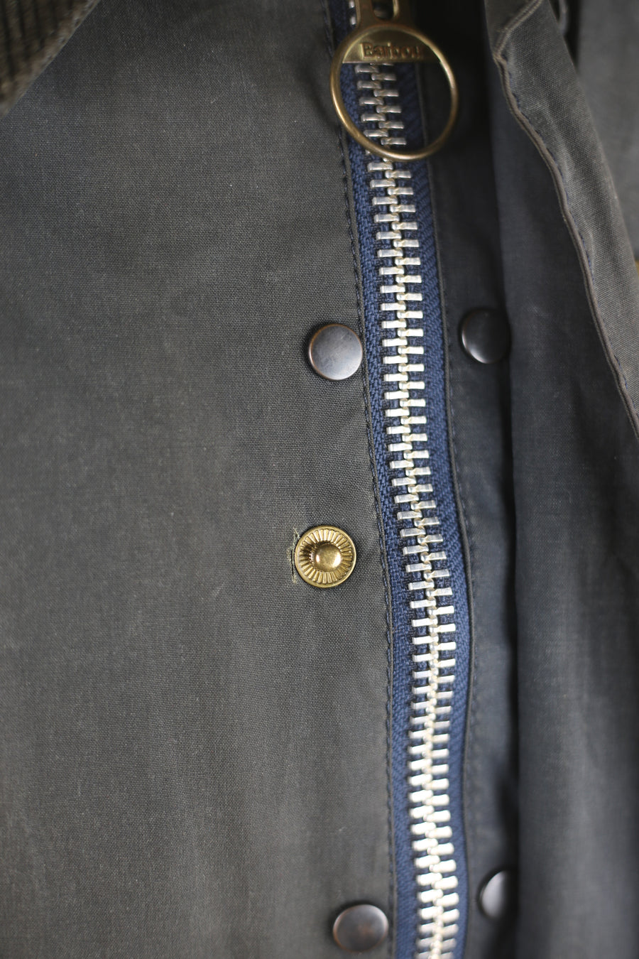 Barbour BEDALE   -C40 L-