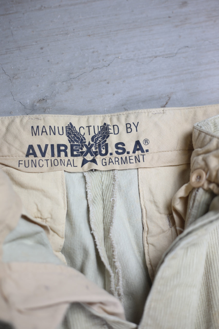 CHINO IN VELLUTO AVIREX