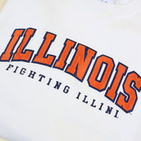 Felpa   Champion   ILLINOIS - M -